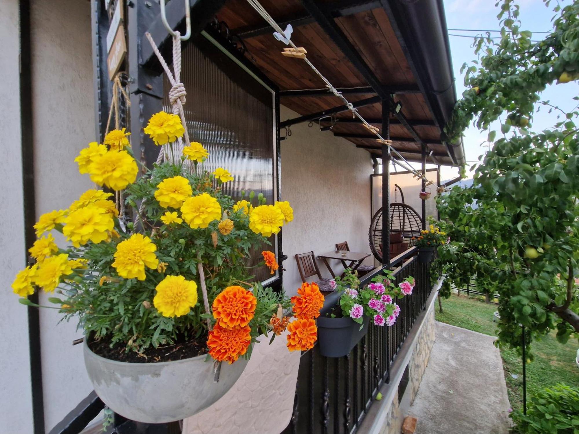 Apartment Garden Of Dreams & Free Private Parking